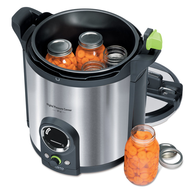 Wayfair pressure canner sale